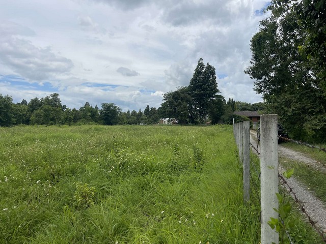 ประกาศฟรี! ซื้อ-ขาย-เช่า คอนโด บ้าน ทาวน์โฮม ที่ดิน และพื้นที่เชิงพาณิชย์ทั่วประเทศไทย ทุกทำเล ทุกงบประมาณ ไม่มีค่าใช้จ่าย ลงง่าย ขายไว เข้าถึงผู้ซื้อโดยตรง 5 293443pic4.jpg