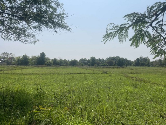 ประกาศฟรี! ซื้อ-ขาย-เช่า คอนโด บ้าน ทาวน์โฮม ที่ดิน และพื้นที่เชิงพาณิชย์ทั่วประเทศไทย ทุกทำเล ทุกงบประมาณ ไม่มีค่าใช้จ่าย ลงง่าย ขายไว เข้าถึงผู้ซื้อโดยตรง 5 293442pic4.jpg