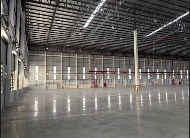 ประกาศฟรี! ซื้อ-ขาย-เช่า คอนโด บ้าน ทาวน์โฮม ที่ดิน และพื้นที่เชิงพาณิชย์ทั่วประเทศไทย ทุกทำเล ทุกงบประมาณ ไม่มีค่าใช้จ่าย ลงง่าย ขายไว เข้าถึงผู้ซื้อโดยตรง 3 506452pic2.jpg