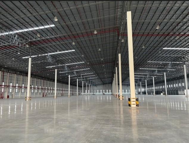 ประกาศฟรี! ซื้อ-ขาย-เช่า คอนโด บ้าน ทาวน์โฮม ที่ดิน และพื้นที่เชิงพาณิชย์ทั่วประเทศไทย ทุกทำเล ทุกงบประมาณ ไม่มีค่าใช้จ่าย ลงง่าย ขายไว เข้าถึงผู้ซื้อโดยตรง 5 506452pic4.jpg