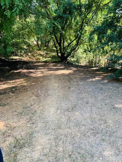 ประกาศฟรี! ซื้อ-ขาย-เช่า คอนโด บ้าน ทาวน์โฮม ที่ดิน และพื้นที่เชิงพาณิชย์ทั่วประเทศไทย ทุกทำเล ทุกงบประมาณ ไม่มีค่าใช้จ่าย ลงง่าย ขายไว เข้าถึงผู้ซื้อโดยตรง 2 293453pic1.jpg