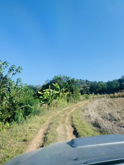 ประกาศฟรี! ซื้อ-ขาย-เช่า คอนโด บ้าน ทาวน์โฮม ที่ดิน และพื้นที่เชิงพาณิชย์ทั่วประเทศไทย ทุกทำเล ทุกงบประมาณ ไม่มีค่าใช้จ่าย ลงง่าย ขายไว เข้าถึงผู้ซื้อโดยตรง 3 293453pic2.jpg