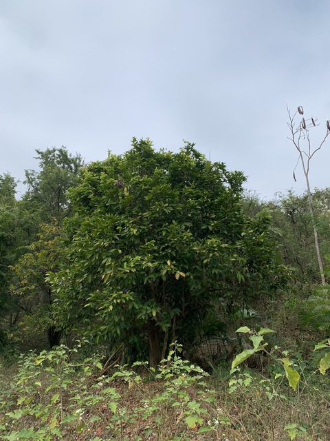 ประกาศฟรี! ซื้อ-ขาย-เช่า คอนโด บ้าน ทาวน์โฮม ที่ดิน และพื้นที่เชิงพาณิชย์ทั่วประเทศไทย ทุกทำเล ทุกงบประมาณ ไม่มีค่าใช้จ่าย ลงง่าย ขายไว เข้าถึงผู้ซื้อโดยตรง 4 293453pic3.jpg