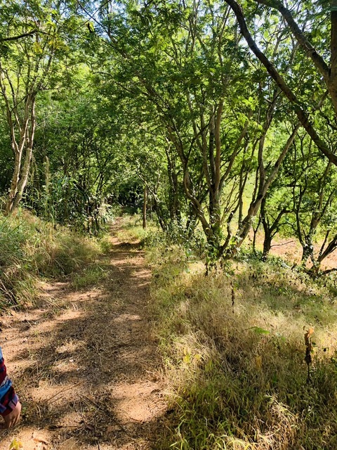 ประกาศฟรี! ซื้อ-ขาย-เช่า คอนโด บ้าน ทาวน์โฮม ที่ดิน และพื้นที่เชิงพาณิชย์ทั่วประเทศไทย ทุกทำเล ทุกงบประมาณ ไม่มีค่าใช้จ่าย ลงง่าย ขายไว เข้าถึงผู้ซื้อโดยตรง 5 293453pic4.jpg