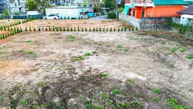 ประกาศฟรี! ซื้อ-ขาย-เช่า คอนโด บ้าน ทาวน์โฮม ที่ดิน และพื้นที่เชิงพาณิชย์ทั่วประเทศไทย ทุกทำเล ทุกงบประมาณ ไม่มีค่าใช้จ่าย ลงง่าย ขายไว เข้าถึงผู้ซื้อโดยตรง 3 247204pic2.jpg