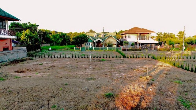 ประกาศฟรี! ซื้อ-ขาย-เช่า คอนโด บ้าน ทาวน์โฮม ที่ดิน และพื้นที่เชิงพาณิชย์ทั่วประเทศไทย ทุกทำเล ทุกงบประมาณ ไม่มีค่าใช้จ่าย ลงง่าย ขายไว เข้าถึงผู้ซื้อโดยตรง 5 247204pic4.jpg