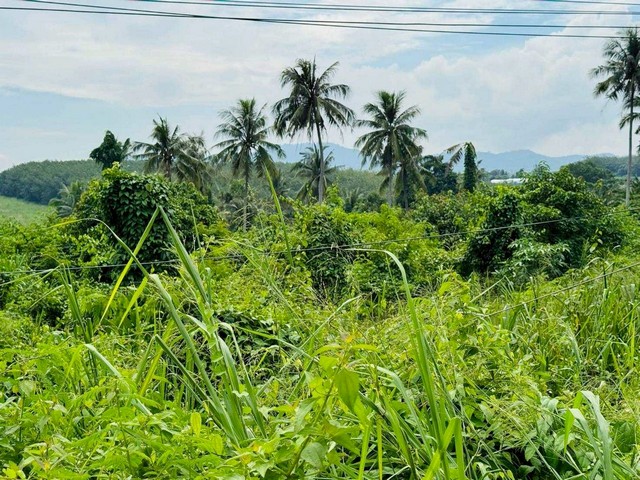 ประกาศฟรี! ซื้อ-ขาย-เช่า คอนโด บ้าน ทาวน์โฮม ที่ดิน และพื้นที่เชิงพาณิชย์ทั่วประเทศไทย ทุกทำเล ทุกงบประมาณ ไม่มีค่าใช้จ่าย ลงง่าย ขายไว เข้าถึงผู้ซื้อโดยตรง 4 312820pic3.jpg