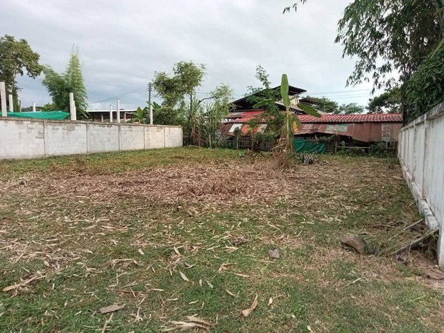 ประกาศฟรี! ซื้อ-ขาย-เช่า คอนโด บ้าน ทาวน์โฮม ที่ดิน และพื้นที่เชิงพาณิชย์ทั่วประเทศไทย ทุกทำเล ทุกงบประมาณ ไม่มีค่าใช้จ่าย ลงง่าย ขายไว เข้าถึงผู้ซื้อโดยตรง 2 247237pic1.jpg