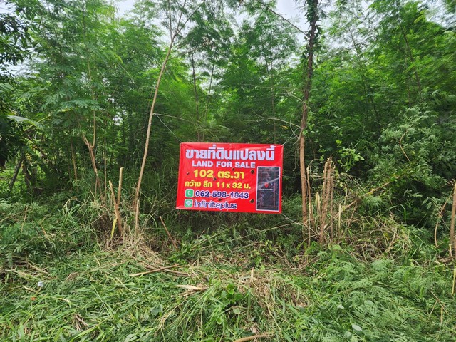 ประกาศฟรี! ซื้อ-ขาย-เช่า คอนโด บ้าน ทาวน์โฮม ที่ดิน และพื้นที่เชิงพาณิชย์ทั่วประเทศไทย ทุกทำเล ทุกงบประมาณ ไม่มีค่าใช้จ่าย ลงง่าย ขายไว เข้าถึงผู้ซื้อโดยตรง 2 16235pic1.jpg