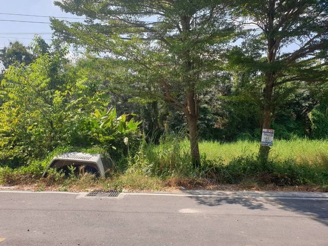 ประกาศฟรี! ซื้อ-ขาย-เช่า คอนโด บ้าน ทาวน์โฮม ที่ดิน และพื้นที่เชิงพาณิชย์ทั่วประเทศไทย ทุกทำเล ทุกงบประมาณ ไม่มีค่าใช้จ่าย ลงง่าย ขายไว เข้าถึงผู้ซื้อโดยตรง 2 13906pic1.jpg