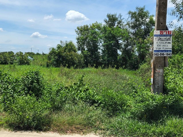 ประกาศฟรี! ซื้อ-ขาย-เช่า คอนโด บ้าน ทาวน์โฮม ที่ดิน และพื้นที่เชิงพาณิชย์ทั่วประเทศไทย ทุกทำเล ทุกงบประมาณ ไม่มีค่าใช้จ่าย ลงง่าย ขายไว เข้าถึงผู้ซื้อโดยตรง 2 13904pic1.jpg