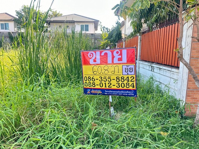 ประกาศฟรี! ซื้อ-ขาย-เช่า คอนโด บ้าน ทาวน์โฮม ที่ดิน และพื้นที่เชิงพาณิชย์ทั่วประเทศไทย ทุกทำเล ทุกงบประมาณ ไม่มีค่าใช้จ่าย ลงง่าย ขายไว เข้าถึงผู้ซื้อโดยตรง 2 508942pic1.jpg