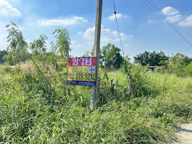 ประกาศฟรี! ซื้อ-ขาย-เช่า คอนโด บ้าน ทาวน์โฮม ที่ดิน และพื้นที่เชิงพาณิชย์ทั่วประเทศไทย ทุกทำเล ทุกงบประมาณ ไม่มีค่าใช้จ่าย ลงง่าย ขายไว เข้าถึงผู้ซื้อโดยตรง 2 508941pic1.jpg