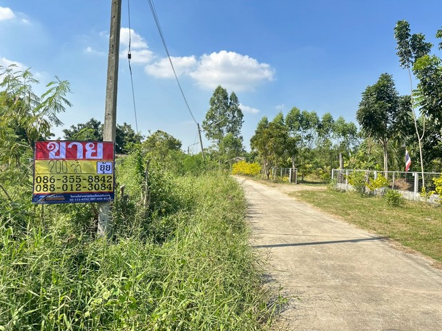 ประกาศฟรี! ซื้อ-ขาย-เช่า คอนโด บ้าน ทาวน์โฮม ที่ดิน และพื้นที่เชิงพาณิชย์ทั่วประเทศไทย ทุกทำเล ทุกงบประมาณ ไม่มีค่าใช้จ่าย ลงง่าย ขายไว เข้าถึงผู้ซื้อโดยตรง 3 508941pic2.jpg