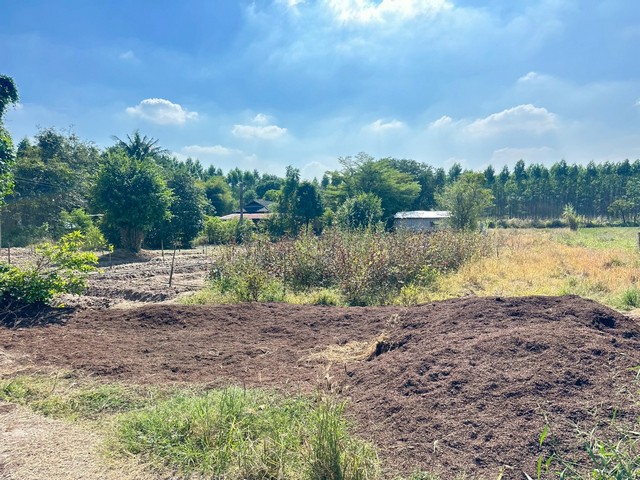 ประกาศฟรี! ซื้อ-ขาย-เช่า คอนโด บ้าน ทาวน์โฮม ที่ดิน และพื้นที่เชิงพาณิชย์ทั่วประเทศไทย ทุกทำเล ทุกงบประมาณ ไม่มีค่าใช้จ่าย ลงง่าย ขายไว เข้าถึงผู้ซื้อโดยตรง 4 508941pic3.jpg