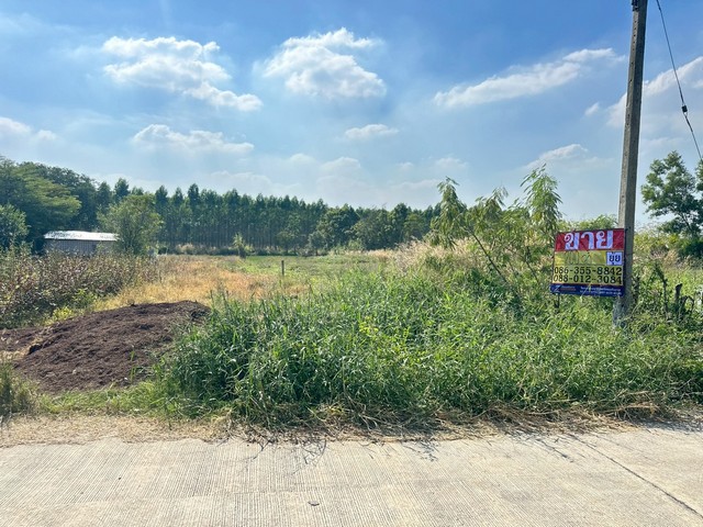 ประกาศฟรี! ซื้อ-ขาย-เช่า คอนโด บ้าน ทาวน์โฮม ที่ดิน และพื้นที่เชิงพาณิชย์ทั่วประเทศไทย ทุกทำเล ทุกงบประมาณ ไม่มีค่าใช้จ่าย ลงง่าย ขายไว เข้าถึงผู้ซื้อโดยตรง 5 508941pic4.jpg