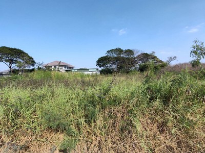 ประกาศฟรี! ซื้อ-ขาย-เช่า คอนโด บ้าน ทาวน์โฮม ที่ดิน และพื้นที่เชิงพาณิชย์ทั่วประเทศไทย ทุกทำเล ทุกงบประมาณ ไม่มีค่าใช้จ่าย ลงง่าย ขายไว เข้าถึงผู้ซื้อโดยตรง 3 508949pic2.jpg