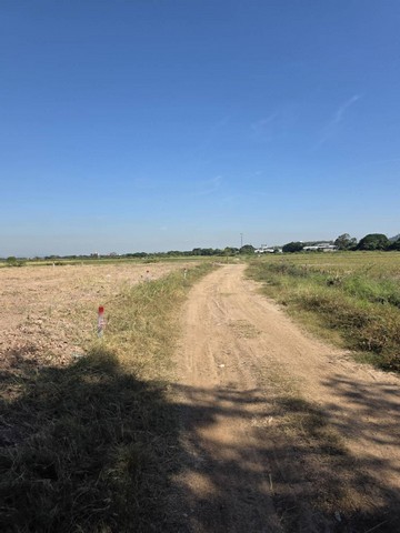 ประกาศฟรี! ซื้อ-ขาย-เช่า คอนโด บ้าน ทาวน์โฮม ที่ดิน และพื้นที่เชิงพาณิชย์ทั่วประเทศไทย ทุกทำเล ทุกงบประมาณ ไม่มีค่าใช้จ่าย ลงง่าย ขายไว เข้าถึงผู้ซื้อโดยตรง 4 312858pic3.jpg