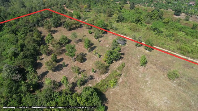 ประกาศฟรี! ซื้อ-ขาย-เช่า คอนโด บ้าน ทาวน์โฮม ที่ดิน และพื้นที่เชิงพาณิชย์ทั่วประเทศไทย ทุกทำเล ทุกงบประมาณ ไม่มีค่าใช้จ่าย ลงง่าย ขายไว เข้าถึงผู้ซื้อโดยตรง 5 247324pic4.jpg