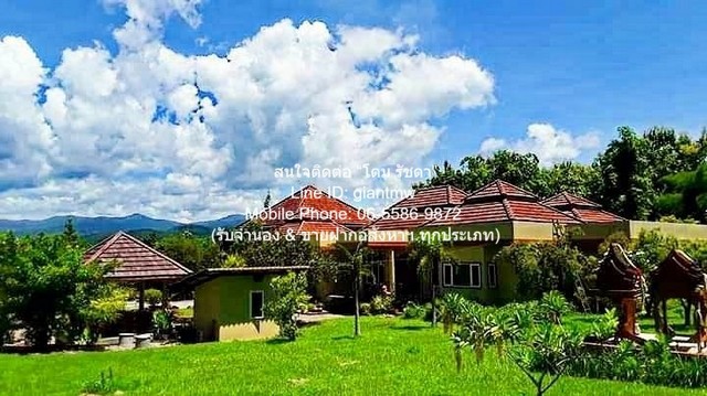 ประกาศฟรี! ซื้อ-ขาย-เช่า คอนโด บ้าน ทาวน์โฮม ที่ดิน และพื้นที่เชิงพาณิชย์ทั่วประเทศไทย ทุกทำเล ทุกงบประมาณ ไม่มีค่าใช้จ่าย ลงง่าย ขายไว เข้าถึงผู้ซื้อโดยตรง 3 284355pic2.jpg