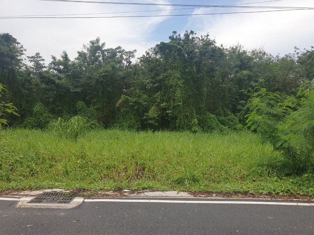 ประกาศฟรี! ซื้อ-ขาย-เช่า คอนโด บ้าน ทาวน์โฮม ที่ดิน และพื้นที่เชิงพาณิชย์ทั่วประเทศไทย ทุกทำเล ทุกงบประมาณ ไม่มีค่าใช้จ่าย ลงง่าย ขายไว เข้าถึงผู้ซื้อโดยตรง 2 13878pic1.jpg