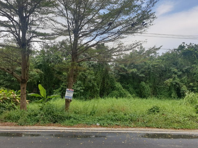 ประกาศฟรี! ซื้อ-ขาย-เช่า คอนโด บ้าน ทาวน์โฮม ที่ดิน และพื้นที่เชิงพาณิชย์ทั่วประเทศไทย ทุกทำเล ทุกงบประมาณ ไม่มีค่าใช้จ่าย ลงง่าย ขายไว เข้าถึงผู้ซื้อโดยตรง 3 13878pic2.jpg