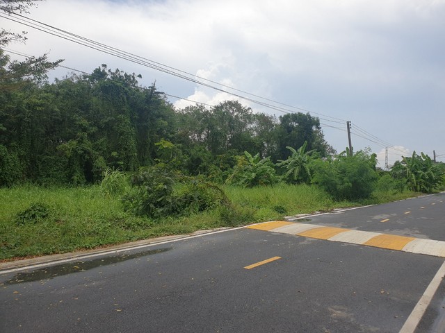 ประกาศฟรี! ซื้อ-ขาย-เช่า คอนโด บ้าน ทาวน์โฮม ที่ดิน และพื้นที่เชิงพาณิชย์ทั่วประเทศไทย ทุกทำเล ทุกงบประมาณ ไม่มีค่าใช้จ่าย ลงง่าย ขายไว เข้าถึงผู้ซื้อโดยตรง 4 13878pic3.jpg