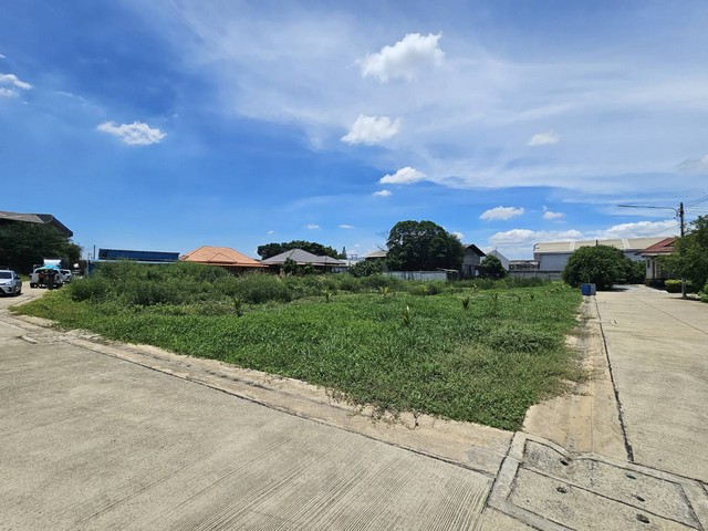 ประกาศฟรี! ซื้อ-ขาย-เช่า คอนโด บ้าน ทาวน์โฮม ที่ดิน และพื้นที่เชิงพาณิชย์ทั่วประเทศไทย ทุกทำเล ทุกงบประมาณ ไม่มีค่าใช้จ่าย ลงง่าย ขายไว เข้าถึงผู้ซื้อโดยตรง 5 312915pic4.jpg