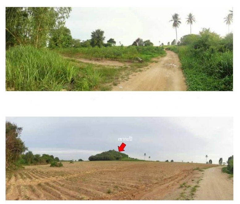 ประกาศฟรี! ซื้อ-ขาย-เช่า คอนโด บ้าน ทาวน์โฮม ที่ดิน และพื้นที่เชิงพาณิชย์ทั่วประเทศไทย ทุกทำเล ทุกงบประมาณ ไม่มีค่าใช้จ่าย ลงง่าย ขายไว เข้าถึงผู้ซื้อโดยตรง 4 312923pic3.jpg