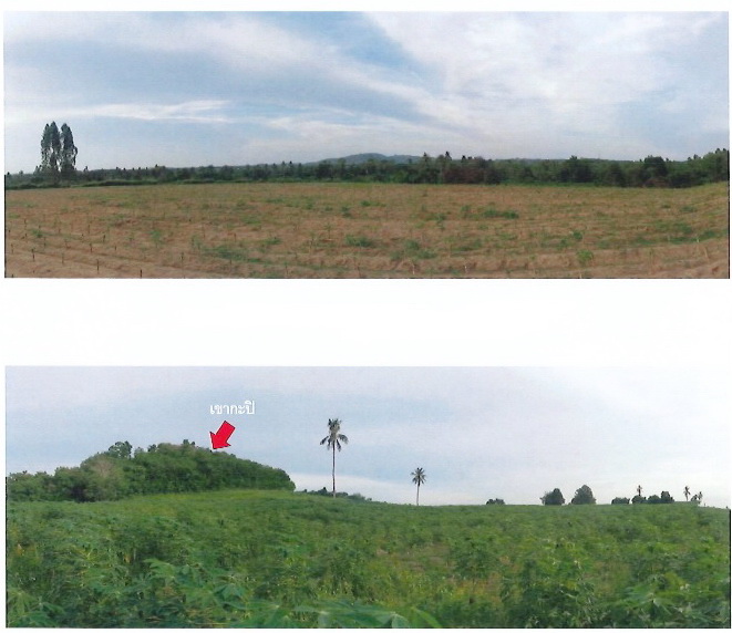 ประกาศฟรี! ซื้อ-ขาย-เช่า คอนโด บ้าน ทาวน์โฮม ที่ดิน และพื้นที่เชิงพาณิชย์ทั่วประเทศไทย ทุกทำเล ทุกงบประมาณ ไม่มีค่าใช้จ่าย ลงง่าย ขายไว เข้าถึงผู้ซื้อโดยตรง 5 312923pic4.jpg