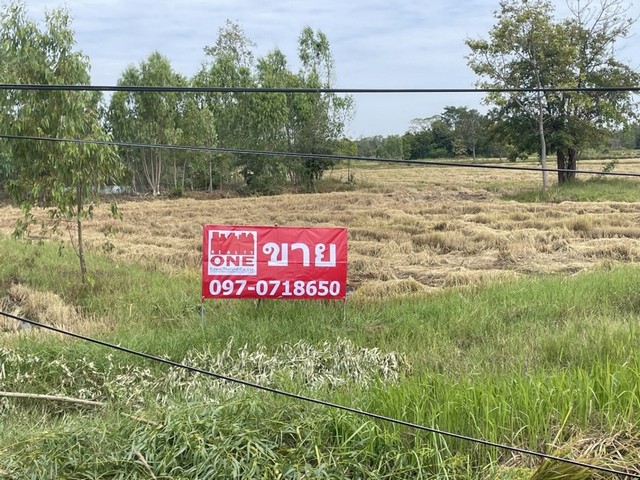 ประกาศฟรี! ซื้อ-ขาย-เช่า คอนโด บ้าน ทาวน์โฮม ที่ดิน และพื้นที่เชิงพาณิชย์ทั่วประเทศไทย ทุกทำเล ทุกงบประมาณ ไม่มีค่าใช้จ่าย ลงง่าย ขายไว เข้าถึงผู้ซื้อโดยตรง 2 312965pic1.jpg