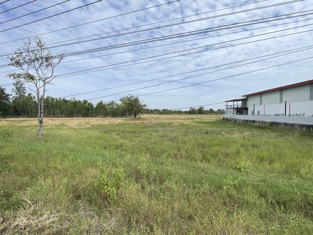 ประกาศฟรี! ซื้อ-ขาย-เช่า คอนโด บ้าน ทาวน์โฮม ที่ดิน และพื้นที่เชิงพาณิชย์ทั่วประเทศไทย ทุกทำเล ทุกงบประมาณ ไม่มีค่าใช้จ่าย ลงง่าย ขายไว เข้าถึงผู้ซื้อโดยตรง 3 312965pic2.jpg