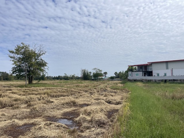 ประกาศฟรี! ซื้อ-ขาย-เช่า คอนโด บ้าน ทาวน์โฮม ที่ดิน และพื้นที่เชิงพาณิชย์ทั่วประเทศไทย ทุกทำเล ทุกงบประมาณ ไม่มีค่าใช้จ่าย ลงง่าย ขายไว เข้าถึงผู้ซื้อโดยตรง 4 312965pic3.jpg