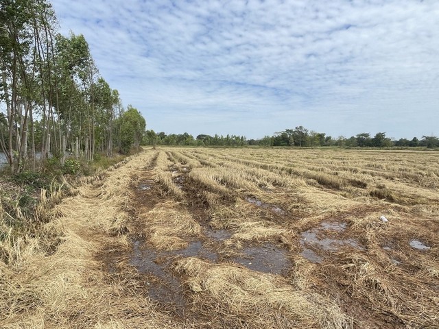 ประกาศฟรี! ซื้อ-ขาย-เช่า คอนโด บ้าน ทาวน์โฮม ที่ดิน และพื้นที่เชิงพาณิชย์ทั่วประเทศไทย ทุกทำเล ทุกงบประมาณ ไม่มีค่าใช้จ่าย ลงง่าย ขายไว เข้าถึงผู้ซื้อโดยตรง 5 312965pic4.jpg