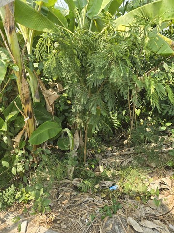 ประกาศฟรี! ซื้อ-ขาย-เช่า คอนโด บ้าน ทาวน์โฮม ที่ดิน และพื้นที่เชิงพาณิชย์ทั่วประเทศไทย ทุกทำเล ทุกงบประมาณ ไม่มีค่าใช้จ่าย ลงง่าย ขายไว เข้าถึงผู้ซื้อโดยตรง 4 285006pic3.jpg