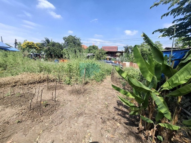 ประกาศฟรี! ซื้อ-ขาย-เช่า คอนโด บ้าน ทาวน์โฮม ที่ดิน และพื้นที่เชิงพาณิชย์ทั่วประเทศไทย ทุกทำเล ทุกงบประมาณ ไม่มีค่าใช้จ่าย ลงง่าย ขายไว เข้าถึงผู้ซื้อโดยตรง 2 480668pic1.jpg