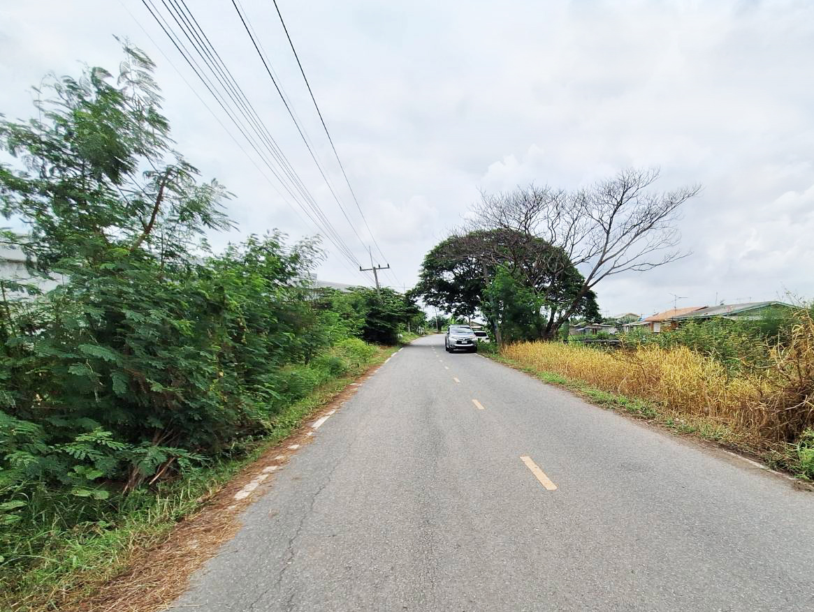 ประกาศฟรี! ซื้อ-ขาย-เช่า คอนโด บ้าน ทาวน์โฮม ที่ดิน และพื้นที่เชิงพาณิชย์ทั่วประเทศไทย ทุกทำเล ทุกงบประมาณ ไม่มีค่าใช้จ่าย ลงง่าย ขายไว เข้าถึงผู้ซื้อโดยตรง 2 293490pic1.jpg