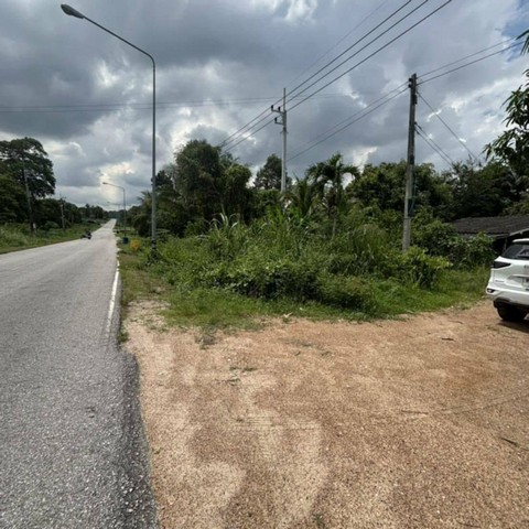 ประกาศฟรี! ซื้อ-ขาย-เช่า คอนโด บ้าน ทาวน์โฮม ที่ดิน และพื้นที่เชิงพาณิชย์ทั่วประเทศไทย ทุกทำเล ทุกงบประมาณ ไม่มีค่าใช้จ่าย ลงง่าย ขายไว เข้าถึงผู้ซื้อโดยตรง 4 313092pic3.jpg