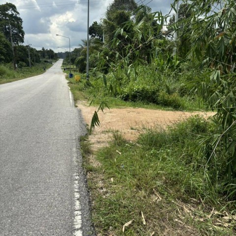 ประกาศฟรี! ซื้อ-ขาย-เช่า คอนโด บ้าน ทาวน์โฮม ที่ดิน และพื้นที่เชิงพาณิชย์ทั่วประเทศไทย ทุกทำเล ทุกงบประมาณ ไม่มีค่าใช้จ่าย ลงง่าย ขายไว เข้าถึงผู้ซื้อโดยตรง 5 313092pic4.jpg