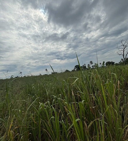 ประกาศฟรี! ซื้อ-ขาย-เช่า คอนโด บ้าน ทาวน์โฮม ที่ดิน และพื้นที่เชิงพาณิชย์ทั่วประเทศไทย ทุกทำเล ทุกงบประมาณ ไม่มีค่าใช้จ่าย ลงง่าย ขายไว เข้าถึงผู้ซื้อโดยตรง 5 313089pic4.jpg