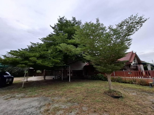 ประกาศฟรี! ซื้อ-ขาย-เช่า คอนโด บ้าน ทาวน์โฮม ที่ดิน และพื้นที่เชิงพาณิชย์ทั่วประเทศไทย ทุกทำเล ทุกงบประมาณ ไม่มีค่าใช้จ่าย ลงง่าย ขายไว เข้าถึงผู้ซื้อโดยตรง 4 313074pic3.jpg