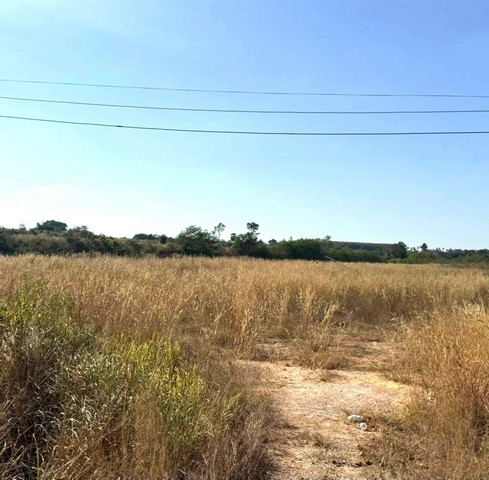 ประกาศฟรี! ซื้อ-ขาย-เช่า คอนโด บ้าน ทาวน์โฮม ที่ดิน และพื้นที่เชิงพาณิชย์ทั่วประเทศไทย ทุกทำเล ทุกงบประมาณ ไม่มีค่าใช้จ่าย ลงง่าย ขายไว เข้าถึงผู้ซื้อโดยตรง 3 313072pic2.jpg