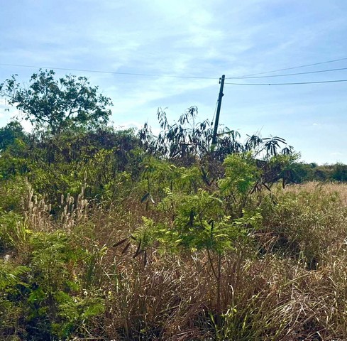 ประกาศฟรี! ซื้อ-ขาย-เช่า คอนโด บ้าน ทาวน์โฮม ที่ดิน และพื้นที่เชิงพาณิชย์ทั่วประเทศไทย ทุกทำเล ทุกงบประมาณ ไม่มีค่าใช้จ่าย ลงง่าย ขายไว เข้าถึงผู้ซื้อโดยตรง 4 313072pic3.jpg