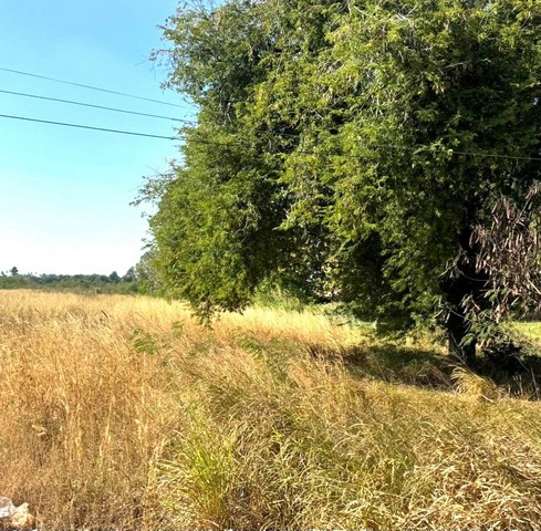 ประกาศฟรี! ซื้อ-ขาย-เช่า คอนโด บ้าน ทาวน์โฮม ที่ดิน และพื้นที่เชิงพาณิชย์ทั่วประเทศไทย ทุกทำเล ทุกงบประมาณ ไม่มีค่าใช้จ่าย ลงง่าย ขายไว เข้าถึงผู้ซื้อโดยตรง 5 313072pic4.jpg