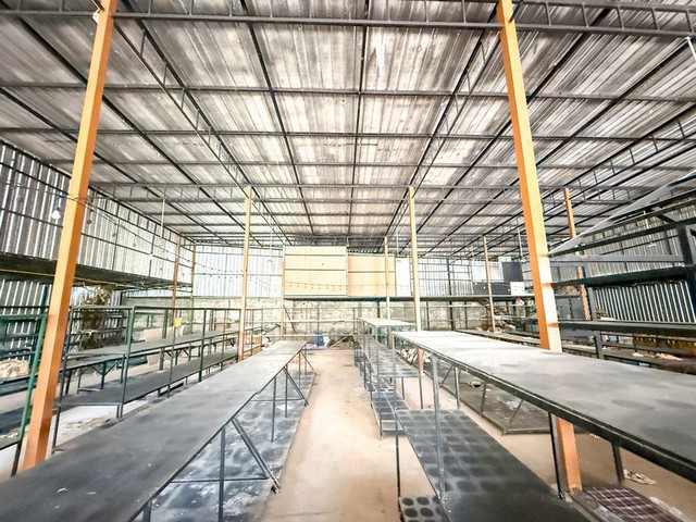 ประกาศฟรี! ซื้อ-ขาย-เช่า คอนโด บ้าน ทาวน์โฮม ที่ดิน และพื้นที่เชิงพาณิชย์ทั่วประเทศไทย ทุกทำเล ทุกงบประมาณ ไม่มีค่าใช้จ่าย ลงง่าย ขายไว เข้าถึงผู้ซื้อโดยตรง 4 312432pic3.jpg