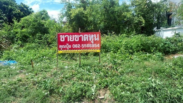 ประกาศฟรี! ซื้อ-ขาย-เช่า คอนโด บ้าน ทาวน์โฮม ที่ดิน และพื้นที่เชิงพาณิชย์ทั่วประเทศไทย ทุกทำเล ทุกงบประมาณ ไม่มีค่าใช้จ่าย ลงง่าย ขายไว เข้าถึงผู้ซื้อโดยตรง 4 313104pic3.jpg