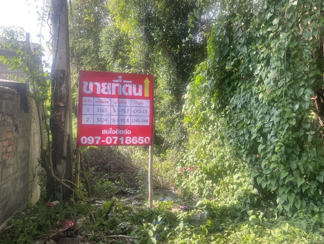 ประกาศฟรี! ซื้อ-ขาย-เช่า คอนโด บ้าน ทาวน์โฮม ที่ดิน และพื้นที่เชิงพาณิชย์ทั่วประเทศไทย ทุกทำเล ทุกงบประมาณ ไม่มีค่าใช้จ่าย ลงง่าย ขายไว เข้าถึงผู้ซื้อโดยตรง 3 313109pic2.jpg