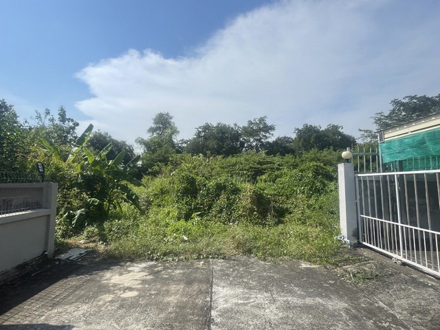 ประกาศฟรี! ซื้อ-ขาย-เช่า คอนโด บ้าน ทาวน์โฮม ที่ดิน และพื้นที่เชิงพาณิชย์ทั่วประเทศไทย ทุกทำเล ทุกงบประมาณ ไม่มีค่าใช้จ่าย ลงง่าย ขายไว เข้าถึงผู้ซื้อโดยตรง 4 313109pic3.jpg