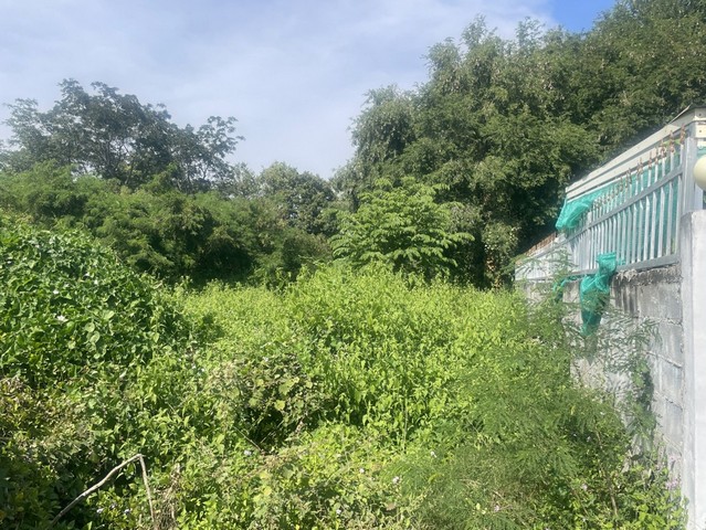 ประกาศฟรี! ซื้อ-ขาย-เช่า คอนโด บ้าน ทาวน์โฮม ที่ดิน และพื้นที่เชิงพาณิชย์ทั่วประเทศไทย ทุกทำเล ทุกงบประมาณ ไม่มีค่าใช้จ่าย ลงง่าย ขายไว เข้าถึงผู้ซื้อโดยตรง 5 313109pic4.jpg