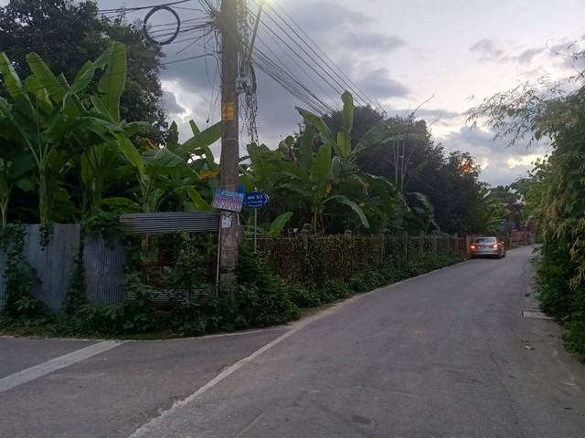 ประกาศฟรี! ซื้อ-ขาย-เช่า คอนโด บ้าน ทาวน์โฮม ที่ดิน และพื้นที่เชิงพาณิชย์ทั่วประเทศไทย ทุกทำเล ทุกงบประมาณ ไม่มีค่าใช้จ่าย ลงง่าย ขายไว เข้าถึงผู้ซื้อโดยตรง 3 292851pic2.jpg